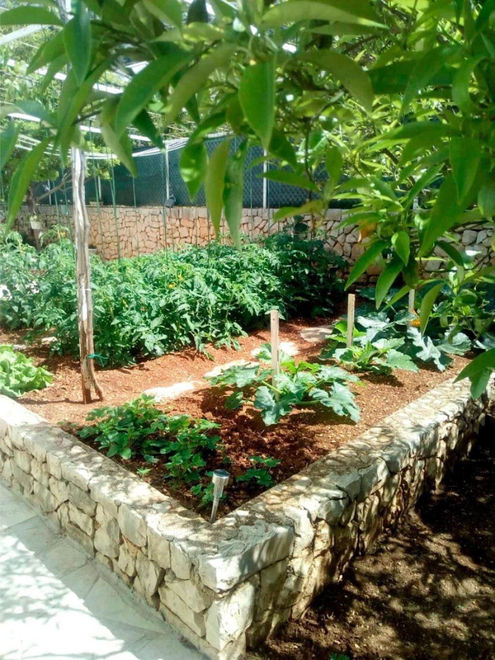 Apartments Anki Živogošće Εξωτερικό φωτογραφία