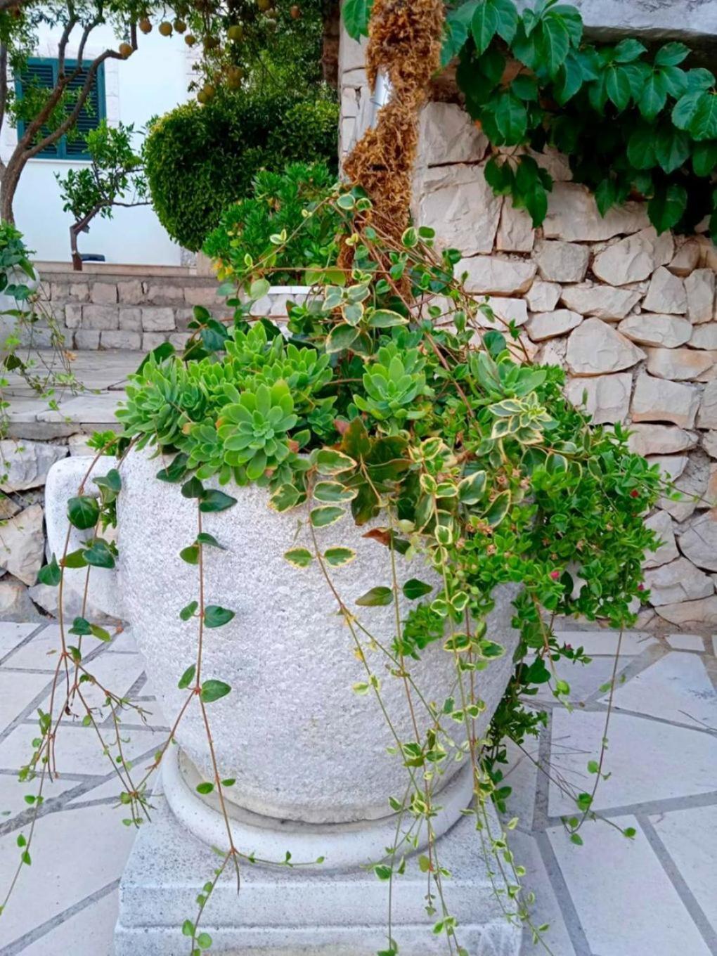 Apartments Anki Živogošće Εξωτερικό φωτογραφία